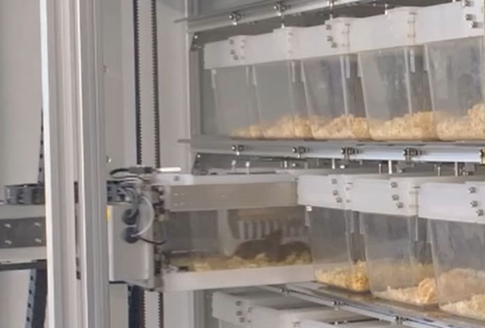実験マウス飼育のケージの移動